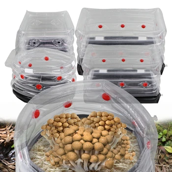 Набор для выращивания грибов, сумка для выращивания икры, надувной однотрубный фильтр-заглушка для обмена свежим воздухом, ящик для рассады семян для домашнего сада